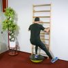 Dome Big Balance Trainer 160 kg